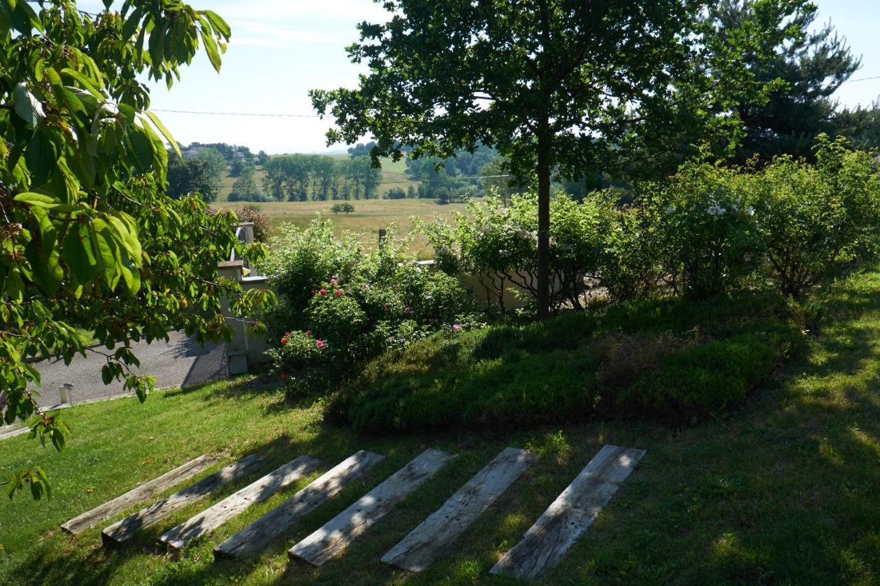 Bed and Breakfast la Palisse à Peaugres Extérieur photo